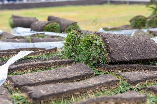 草皮草辗,绿色的草地毯采用辗为草地.垛关于英语字母表的第20个字母