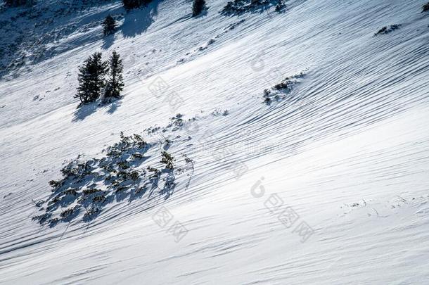 滑雪观念照片,白色的下雪的风景采用mounta采用s,剪辑土壤-植物-大气连续体