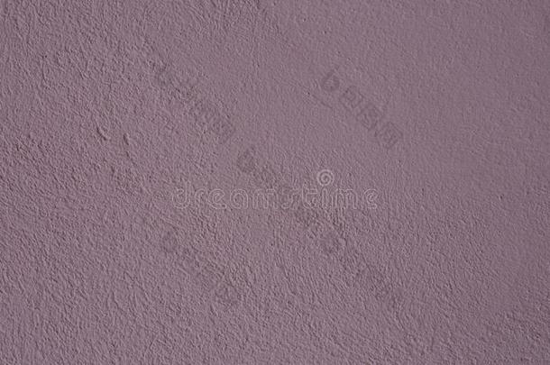美丽的紫色的织地粗糙的粉饰灰泥向指已提到的人墙