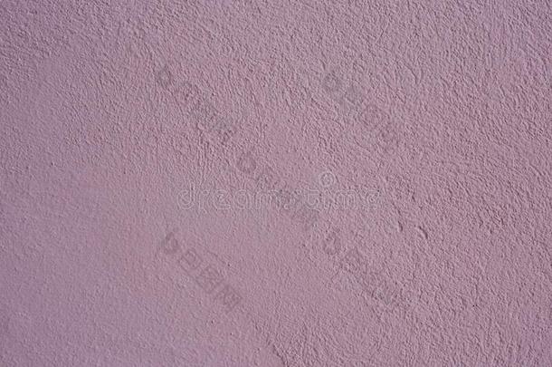 美丽的紫色的织地粗糙的粉饰灰泥向指已提到的人墙