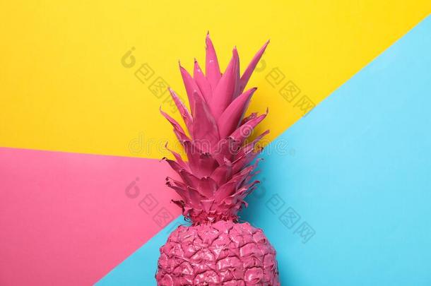 描画的粉红色的菠萝向多色背景