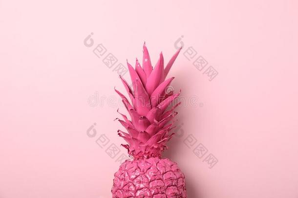 描画的粉红色的菠萝向颜色背景