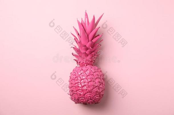 描画的粉红色的菠萝向颜色背景