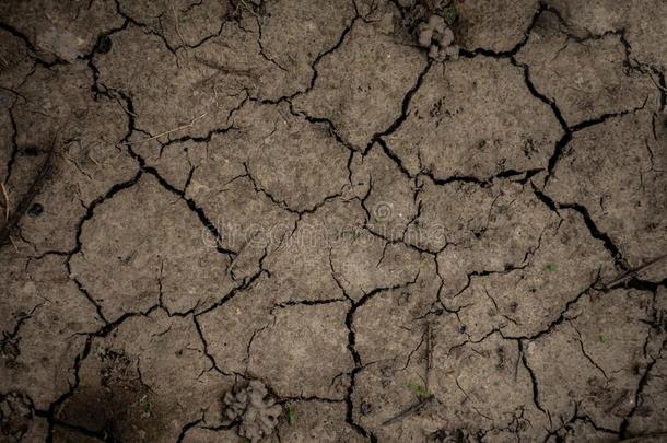 质地关于干燥的有裂缝的地球因为关于不雨和干旱Sweden瑞典