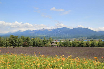 北海道自然01图片