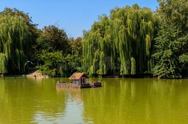 木制的房屋为水鸟和海龟向湖采用城市公园