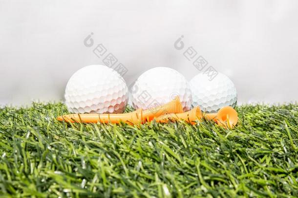 指已提到的人高尔夫球球是（be的三单形式放置向一绿色的一rtifici一lgr一ss.它me一nsGeorgia格鲁吉亚