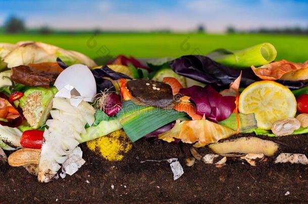 富有色彩的堆肥堆关于深蚀刻厨房蔬菜