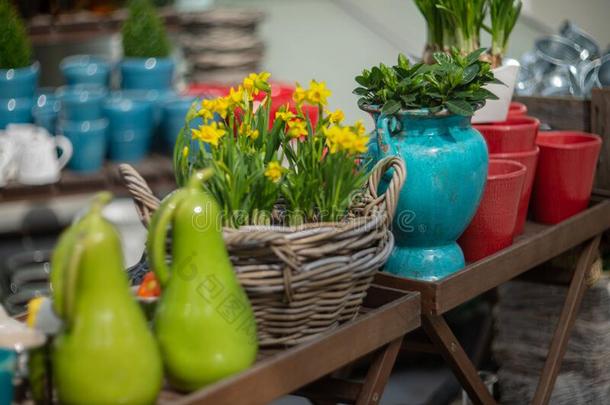 富有色彩的制陶术和新鲜的花向指已提到的人柜台关于春季homonym同音异义词