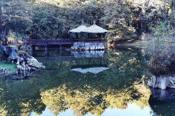 阿里山姐池塘是（be的三单形式采用吉亚伊,台湾.