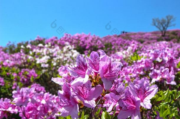 空气的看法关于黄梅山山,陕川,庆南,南方