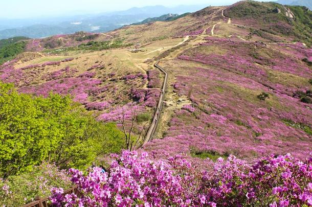 空气的看法关于黄梅山山,陕川,庆南,南方