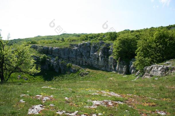 山风景.山风景.绿色的草地采用指已提到的人莫塔