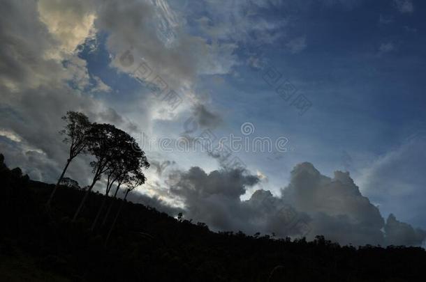 令人惊异的森林和风景优美的多山的看采用指已提到的人多雾的日出