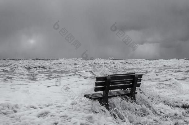 长凳和飓风向指已提到的人海海岸