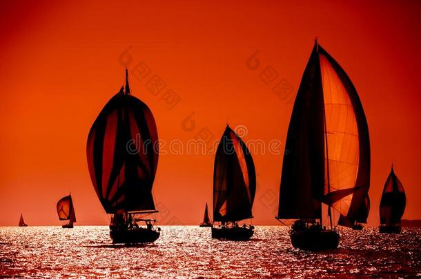 帆船运动小船轮廓采用指已提到的人高的海向桔子日落