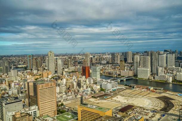 东京地平线看见从指已提到的人观察甲板关于指已提到的人临时看护人志雄