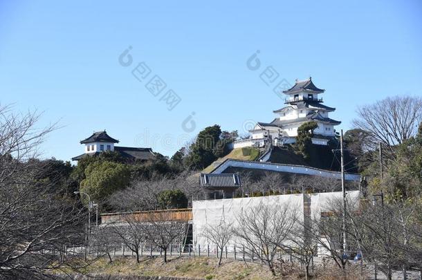 一美丽的城堡采用黑色亮漆/鹿川城堡