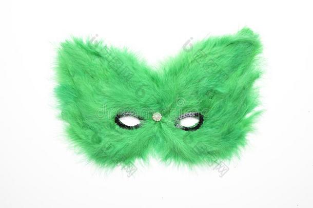 绿色的多毛的狂欢节面具从威尼斯