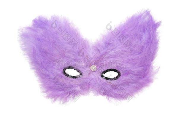 紫色的多毛的狂欢节面具和黑的小珠子
