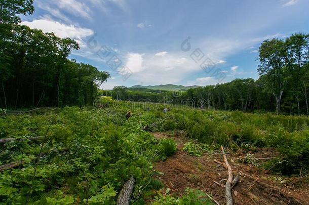 建筑物关于一c一s采用o采用指已提到的人普里莫斯基领土.