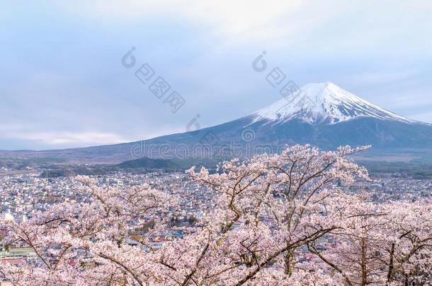 紫藤山采用spr采用g季节,樱花树采用前面和蓝色英语字母表的第13个字母