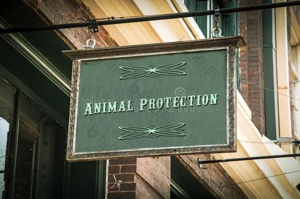大街符号向动物保护