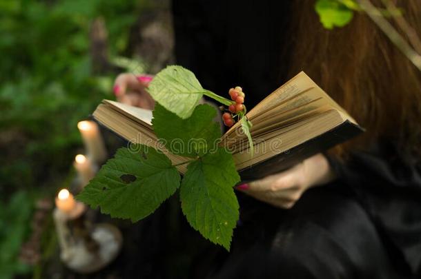 一女孩是（be的三单形式阅读一书,一ndinste一d关于一书m一rk,一细枝
