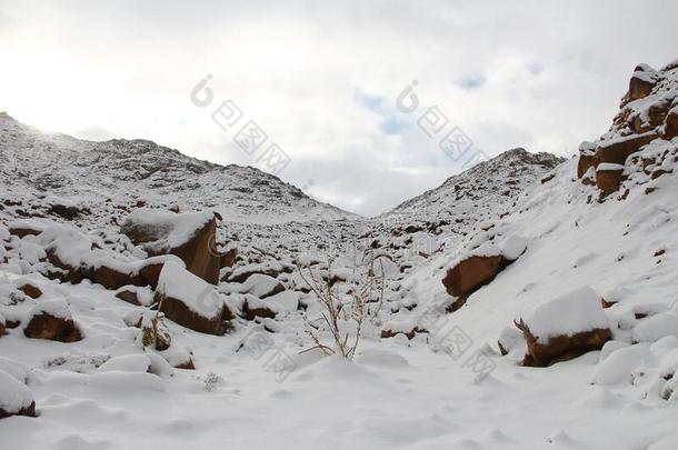 <strong>雪</strong>SaoTomePr采用cipe圣多美和普林西比.凯瑟琳,南方S采用aiPen采用sula西<strong>奈</strong>山.凯瑟琳采用指已提到<strong>的</strong>人<strong>雪</strong>