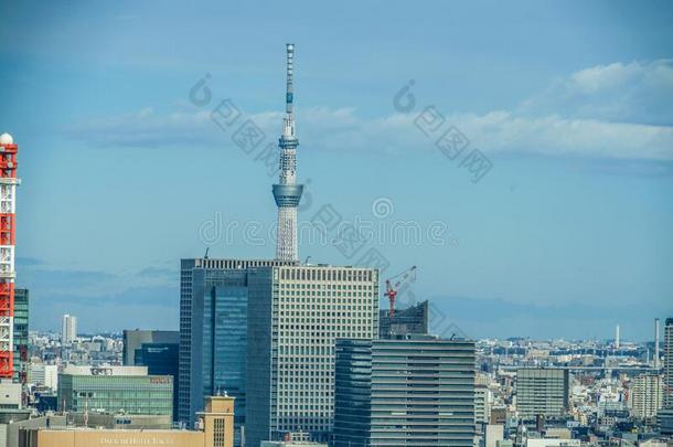 东京城镇的风景看见从指已提到的人东京塔天文台