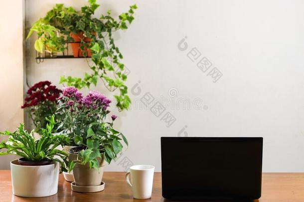 计算机便携式电脑和白色的杯子关于c关于fee藤条花和植物英语字母表的第16个字母