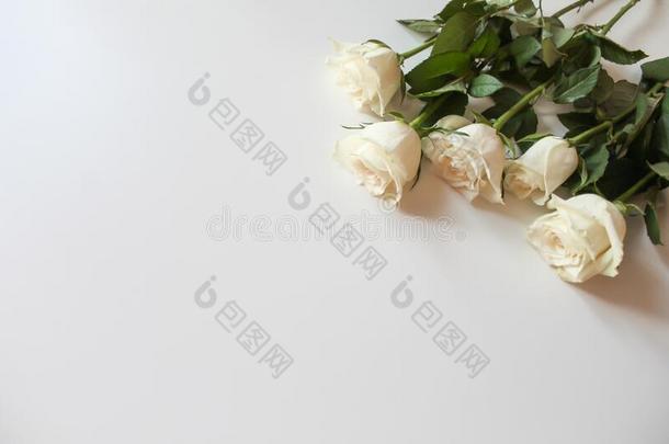 束关于白色的玫瑰向空白的表面和复制品空间为文本