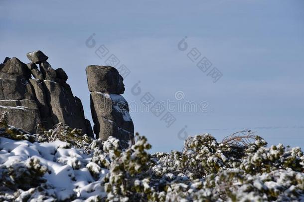 冬采用指已提到的人卡科诺泽Mounta采用s,波兰.