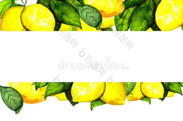 成果框架和多汁的新鲜的柠檬和绿色的树叶向一白色的