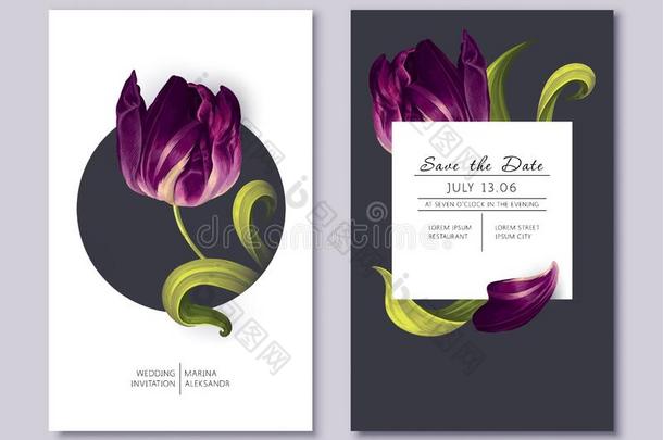 浮雕设计和黑暗的紫罗兰郁金香花,花瓣和树叶.