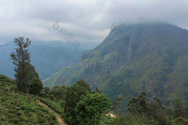 <strong>山</strong>风景,绿色的斜坡.美好关于<strong>山</strong>.小的<strong>广告</strong>