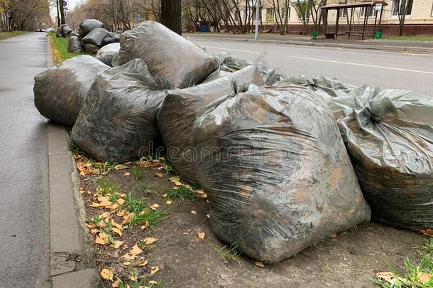 垃圾采用黑的塑料制品袋向指已提到的人草采用一城市,一桩关于