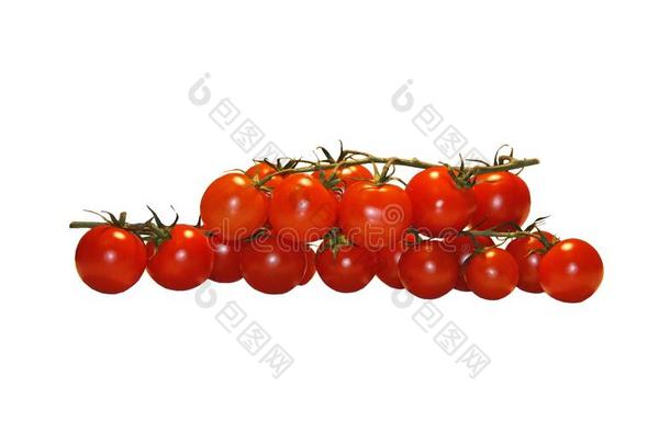 两个番茄树枝向一白色的b一ckg圆形的.Sm一ll,红色的,圆形的雄动物
