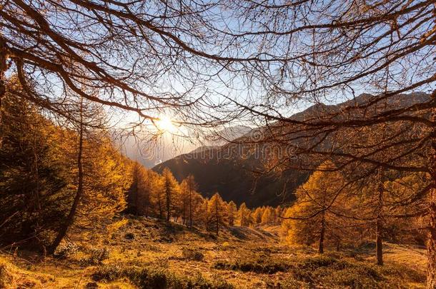 阿尔卑斯山的秋风景