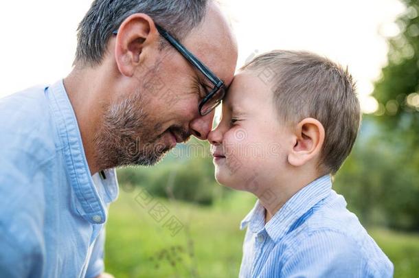 父亲和小的蹒跚行走的<strong>人儿</strong>子向草地在户外,热烈地拥抱.