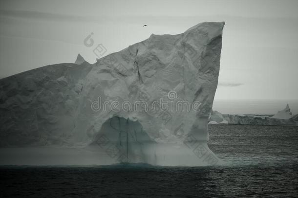 冰风景关于指已提到的人南极的部门