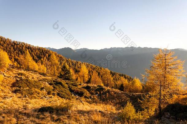 阿尔卑斯山的秋风景