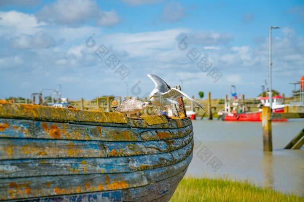 吉卜赛绅士海港,东苏塞克斯,英格兰.老的风化的小船一次采用