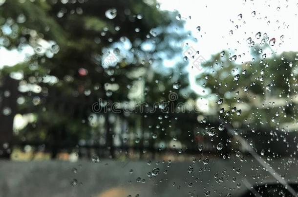 <strong>雨水落下</strong>向指已提到的人汽车挡风玻璃在公众的公园