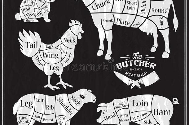 动物农场放置.将切开关于牛肉,猪肉,羔羊,鸡.海报臀部