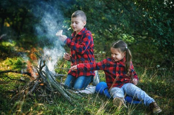 男孩和女孩向一国家野餐郊游和一火