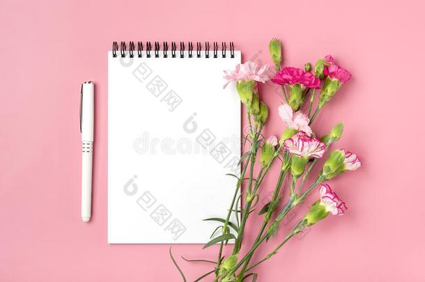 富有色彩的花束关于不同的粉红色的康乃馨花,白色的笔记