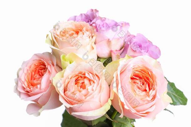 花束关于杂种茶水玫瑰和花束<strong>月季</strong>