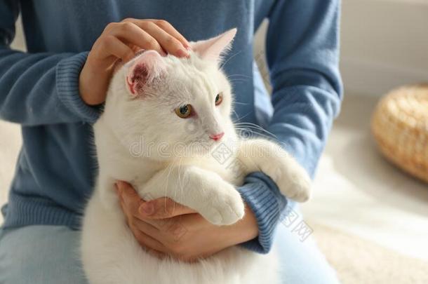 年幼的女人和她美丽的白色的猫在家,特写镜头.绒毛