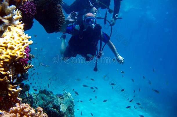 男人水肺潜水员和美丽的富有色彩的珊瑚礁在水中的